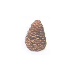 Pine Cone 4-in Medium, Rasmussen
