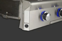 American Outdoor Grill 30" Built-In L Series Grill, No Rotisserie -TECC BBQ Shop AOG Ignition Button 17690.1553089799.1500.1500