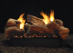 24-in Slope Glaze Vista Multi-Sided Burner | Vented/Vent-Free | Remote Ready | NG