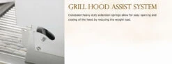 Twin Eagles 30" Built-in Grill With Rotisserie -TEBQ30R-C -TECC BBQ Shop feat grill hood assist system 42209.1557861061.1500.1500