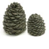 Set Of 2 Decorative Charred Pine Cones
